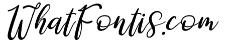 Derlinata Space Italic