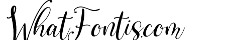 Benttaria Delissha Italic