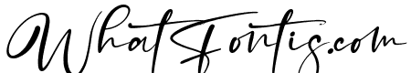 Pitchy Signature Italic