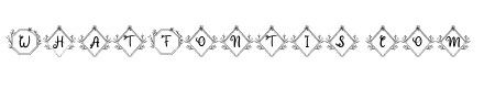 Heleny Monogram Regular