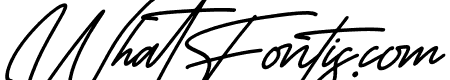 Monoline Signature Italic